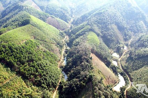 Kỳ vọng đột phá ngành chế biến gỗ