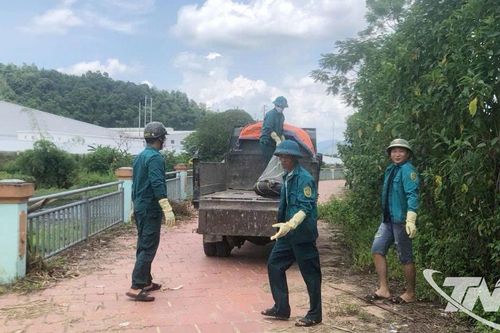 Ngăn chặn và xử lý tình trạng vứt xác lợn ra môi trường