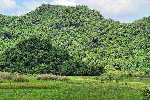 Ninh Bình: Phát hiện bộ xương nghi của người đàn ông mất tích hơn một năm trước