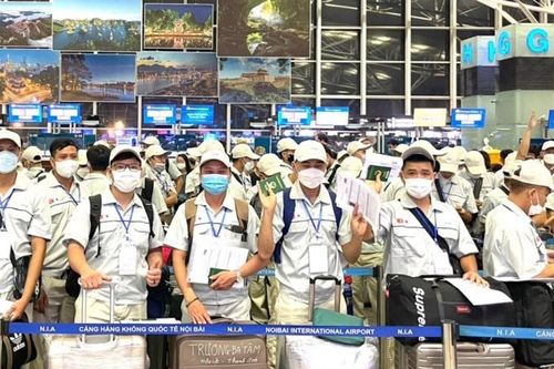 Hàn Quốc sẽ ban hành nhiều chính sách thu hút lao động Việt Nam
