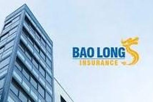 Lợi nhuận Bảo hiểm Bảo Long (BLI) 'bốc hơi' 95% trong quý 2 do sụt giảm ở cả mảng bảo hiểm và tài chính