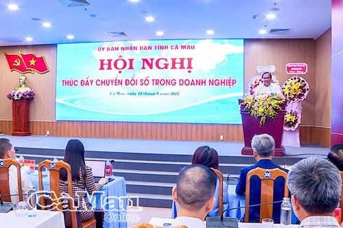Cà Mau thúc đẩy chuyển đổi số trong doanh nghiệp năm 2025