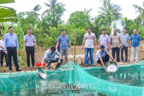 Xã Nguyễn Phích - Khai thác tiềm năng đất rừng, đa dạng hóa kinh tế