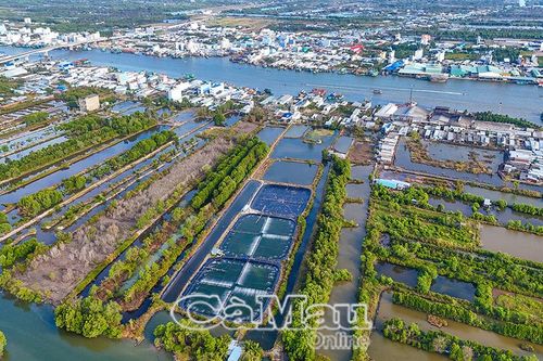 Khi 'Thủ phủ tôm' căng buồm ra biển lớn - Bài 3: Ðồng hành vượt thách thức, xóa rào cản