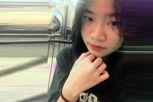 Vụ nữ sinh bỏ nhà đi cùng 2 con mèo: Tin nhắn với cô giáo có nội dung gì?