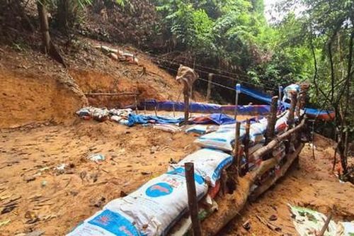 Kỳ cuối: 'Thế giới ngầm' trong rừng phòng hộ đầu nguồn sông Bến Hải