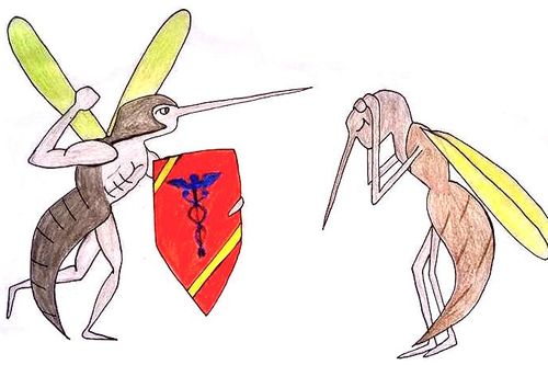 Ứng dụng công nghệ 'muỗi ăn muỗi' để diệt dịch chikungunya
