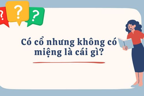 Có cổ nhưng không có miệng là cái gì?