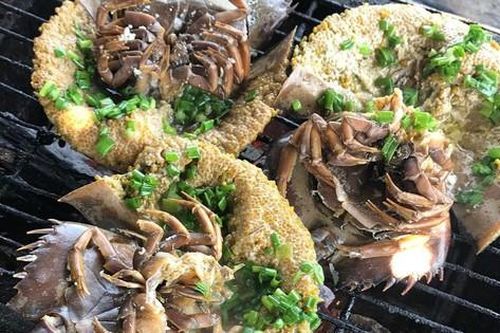 Đặc sản đắt hơn tôm, ghẹ, thuộc dạng quý hiếm ở Quảng Ninh: Bộ phận nào cũng nấu được, vị 'kén người ăn'