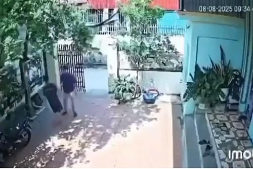 Xúc phạm thầy giáo, học sinh bị tát rách màng nhĩ tai