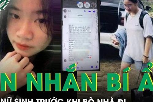 Hé lộ dòng tin nhắn bí ẩn và cuộc gọi cuối cùng của nữ sinh 18 tuổi bỏ nhà đi cùng 2 con mèo