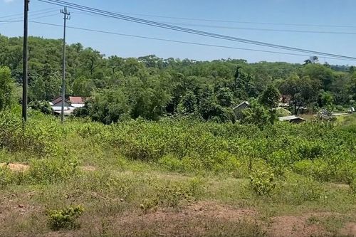 Dự án Bãi đỗ xe từng 'xâm phạm' lăng vợ vua Tự Đức sẽ triển khai trở lại