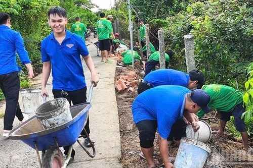 Những ngày hè tình nguyện trên quê hương Đồng Tháp