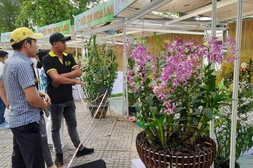 Tăng giá trị cho ngành hoa, cây kiểng Thành phố Hồ Chí Minh