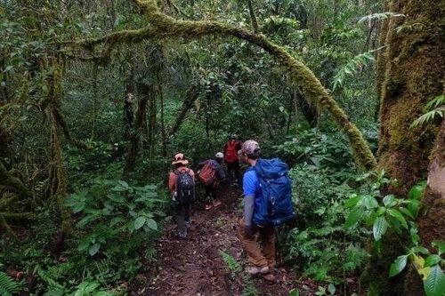 Trekking an toàn cẩm nang không thể thiếu cho người mê khám phá núi rừng