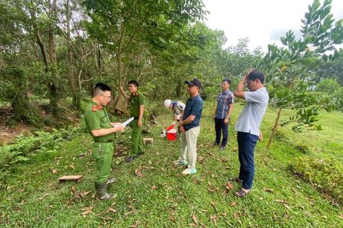 Vi phạm môi trường, 3 đơn vị bị xử phạt gần 150 triệu đồng