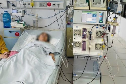 Cứu sống bệnh nhân ngừng tim, sốc nhiễm khuẩn do ong đốt hóa mủ
