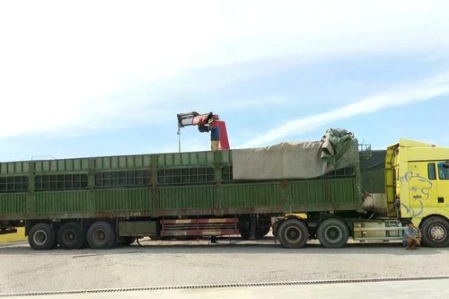 Chở vượt tải trọng, chủ và tài xế xe tải bị phạt 333 triệu đồng