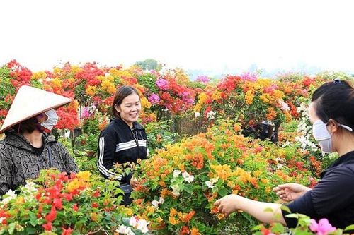 Phù Đổng - điểm sáng trong chương trình xây dựng nông thôn mới