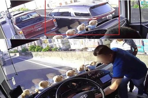 Khởi tố, bắt tạm giam tài xế đi vào làn khẩn cấp, rút chìa khóa xe khách