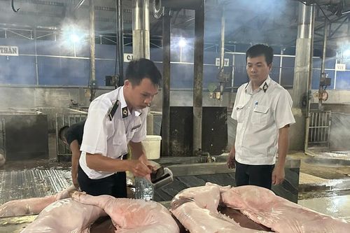Đột xuất kiểm tra cơ sở giết mổ lợn trong đêm ở Đắk Lắk