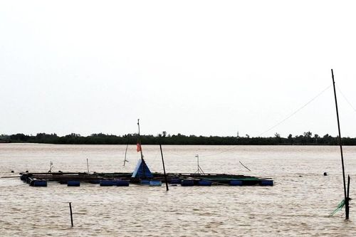 Nông dân Quảng Trị được hỗ trợ đặc biệt sau thiên tai
