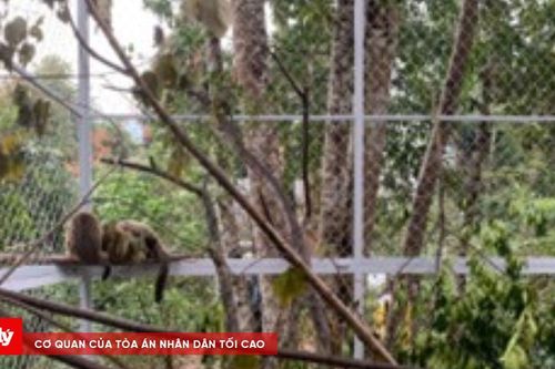 Bước đệm để động vật nuôi nhốt tái hòa nhập với tự nhiên