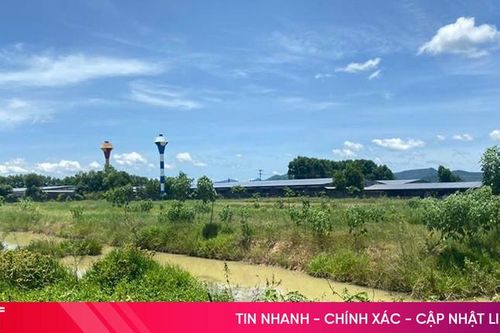 Phạt gần 150 triệu đồng 3 cơ sở xả nước thải vượt quy chuẩn
