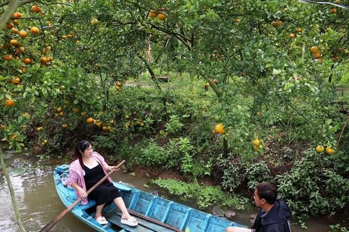 Đồng bằng sông Cửu Long cần làm gì để nắm bắt cơ hội, hóa giải thách thức?
