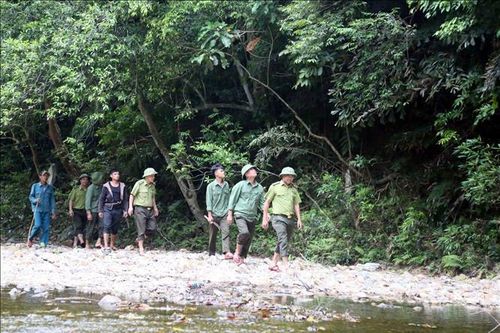 Giữ nguồn tài nguyên rừng quý giá - Bài 1: Phát triển sinh kế xanh