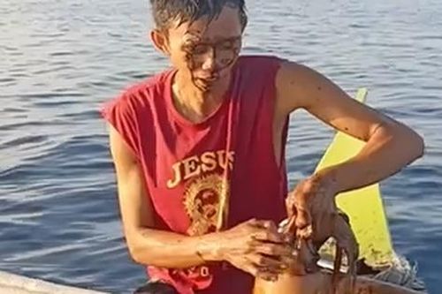 Điều bất ngờ xảy ra khi ngư dân khoe bắt được mực khổng lồ