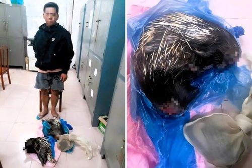 Bắt giữ thanh niên đặt bẫy, bán động vật rừng quý hiếm ở Đồng Nai