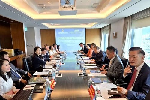 Cảng Phù Mỹ thu hút sự quan tâm của đối tác Hàn Quốc