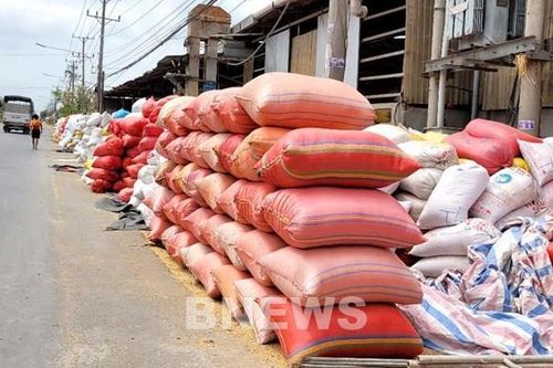 Nỗi lo mất mùa, rớt giá lúa hè thu ở Đồng Tháp