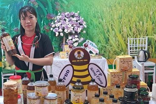 Thái Nguyên đồng hành cùng hợp tác xã miền núi, vùng sâu, vùng xa xây dựng thương hiệu