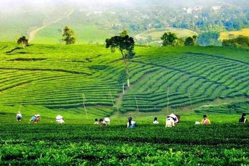 Phấn đấu đến năm 2030, toàn tỉnh Lai Châu có 10 xã đạt chuẩn Nông thôn mới