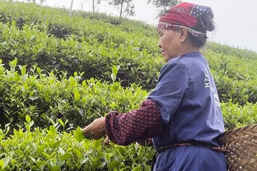 Thái Nguyên đặt mục tiêu 70% số xã đạt chuẩn nông thôn mới