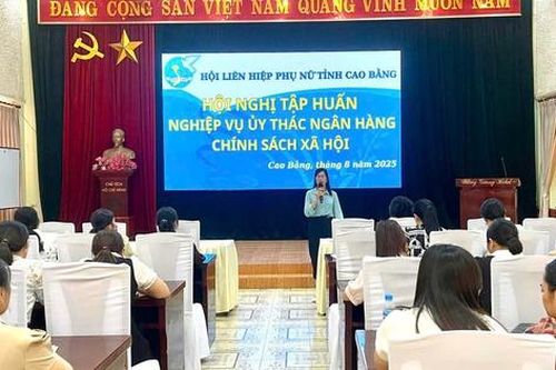 Cao Bằng: Tập huấn hoạt động nhận ủy thác cho vay vốn Ngân hàng Chính sách xã hội năm 2025