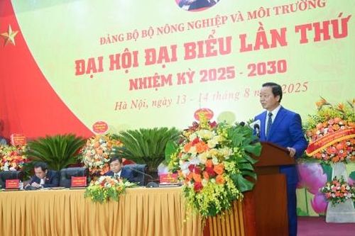 Bộ Nông nghiệp và Môi trường cần làm gì để phát triển xanh, bền vững?