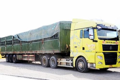 Chở vượt hơn 429% tải trọng, lái xe và chủ doanh nghiệp bị phạt 333 triệu đồng