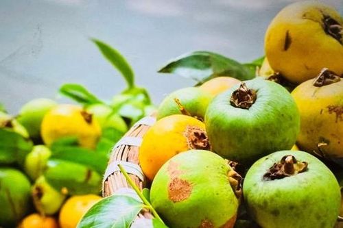 Những thức quà của mùa Thu Hà Nội