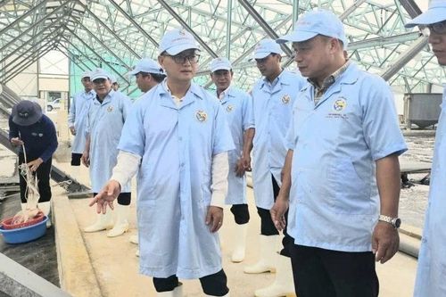 Triển khai quyết liệt, có hiệu quả công tác chống khai thác IUU