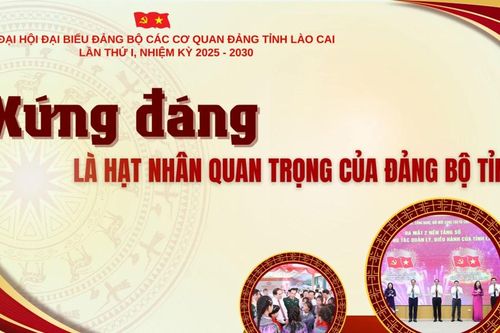Xứng đáng là hạt nhân quan trọng của Đảng bộ tỉnh