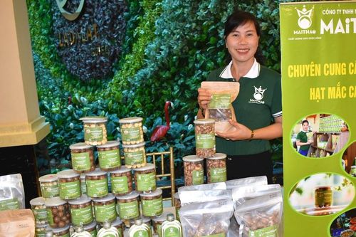 Hình thành vùng nguyên liệu mắc ca bền vững