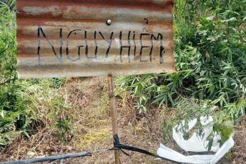 Nông dân Lâm Đồng phát hiện đạn pháo khi làm vườn