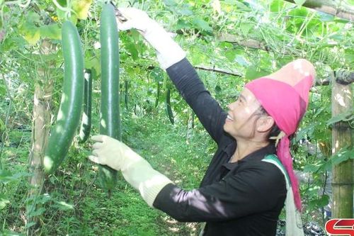 Xây dựng nông thôn mới từ bản