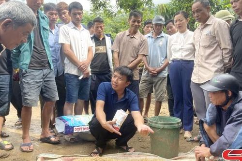 Tập huấn, hỗ trợ nông dân vùng lũ khôi phục sản xuất bằng chế phẩm vi sinh Emuniv