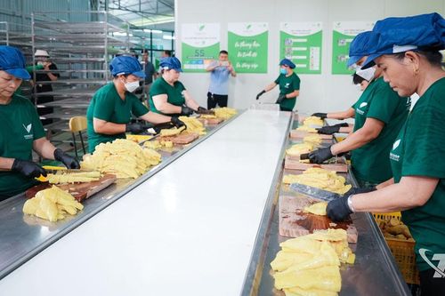 Các hợp tác xã tự làm mới để vươn xa