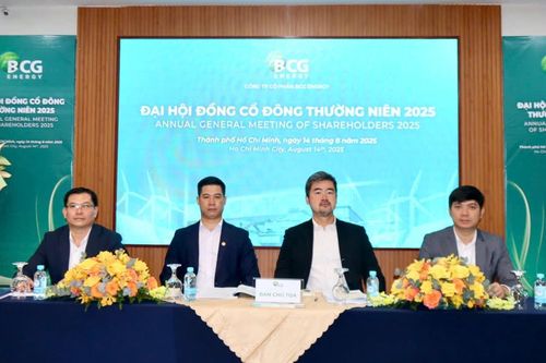 Ngành năng lượng tái tạo vào chu kỳ mới, BCG Energy (BGE) dồn lực cho loạt dự án lớn