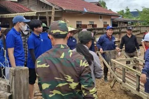 Xúc động hình ảnh sinh viên Việt Nam dạy tiếng, hỗ trợ người dân Lào dọn dẹp sau lũ